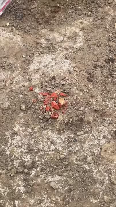 �������, ������� �� ����� ���������� 5 ����� ��� �����, ����� ��� �������� ��������������� ���������