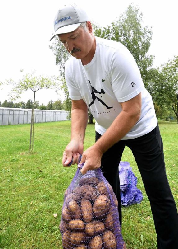 ��������� ����������� ���� ���������� ���������, ����� �� ����� �������