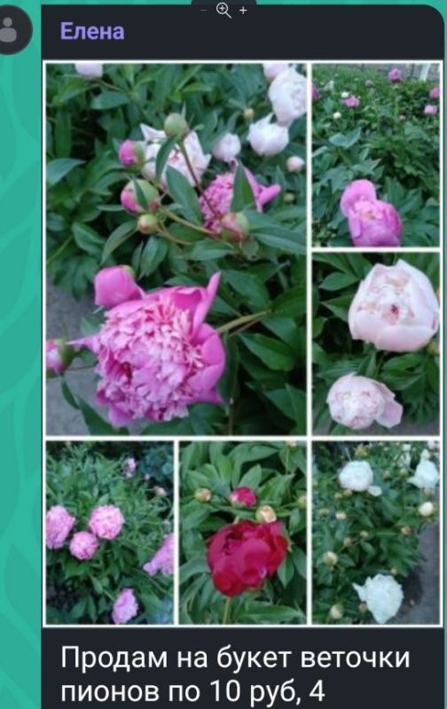 ����� ���������, ����� ����� ����� ���������� ������ �� ��������� ������