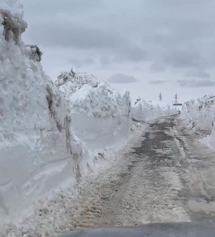 � ������� ���� ��������� � �������� � ���������