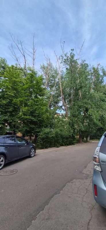 ������ ������� �� ����� ������ ��� 2 ������, ��� � ���� ���� �� ��� ������ ����� �����, �����, ��� ������� ��� �� �����