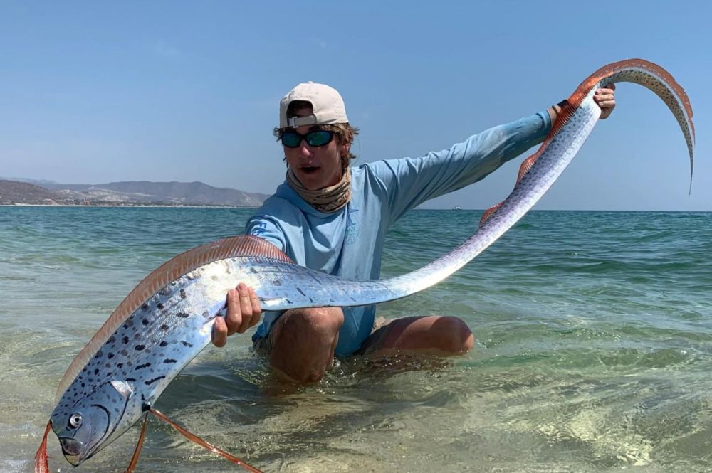 � ������� ����� �� ������ ���� � �������������� ����������