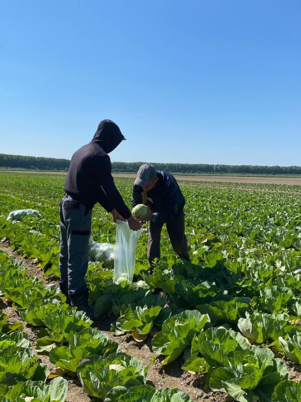 ������� � �������� ���������� ��-�� ���������� � ��������� ����