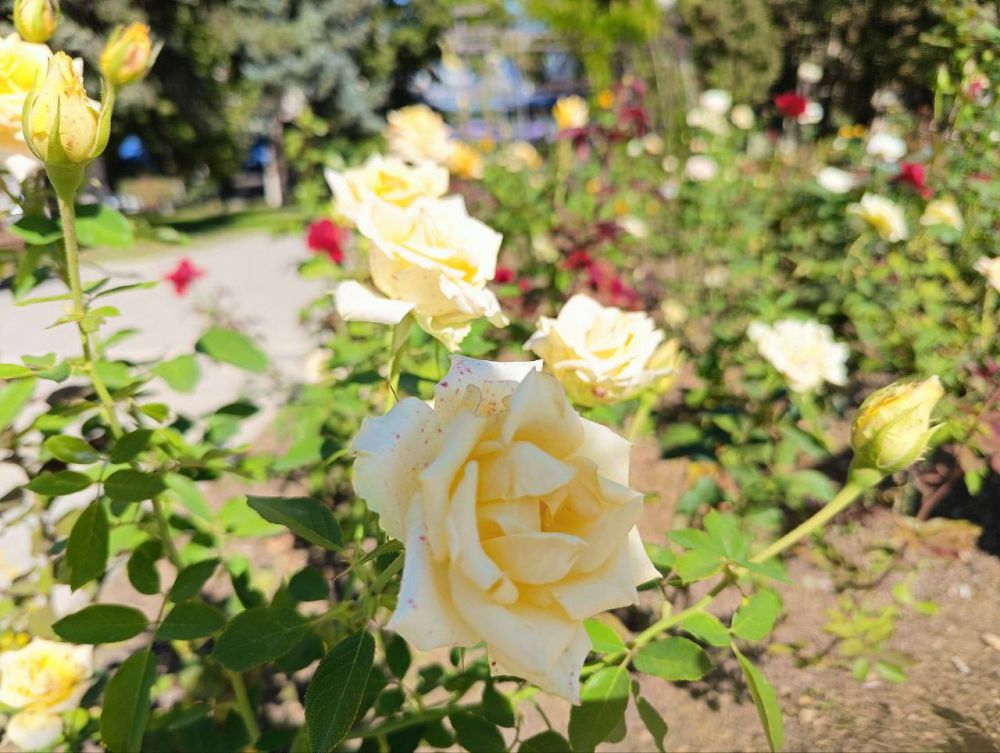 ������ ��������� ����. �������� �� ������ �����, ���� � ������ �������� ��� ������� ���� ������� � ����������