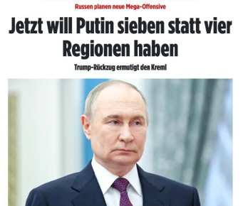      :     ,   ,  Bild