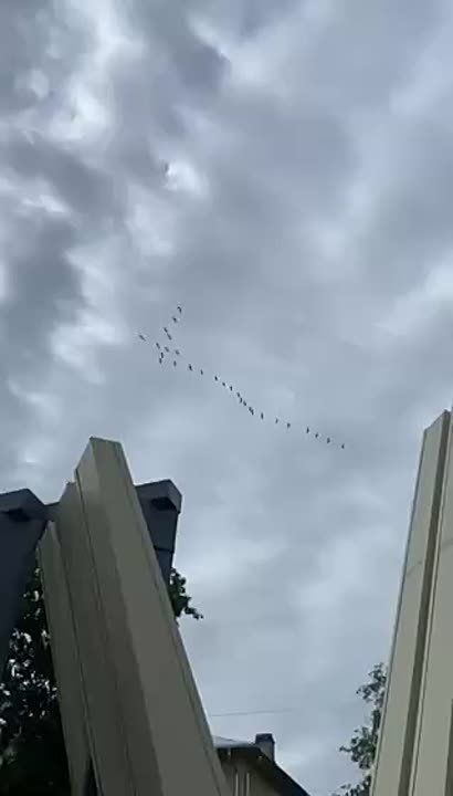 ����� ���� ������ ��������� ��� ��������� �� ����� ���������� ������