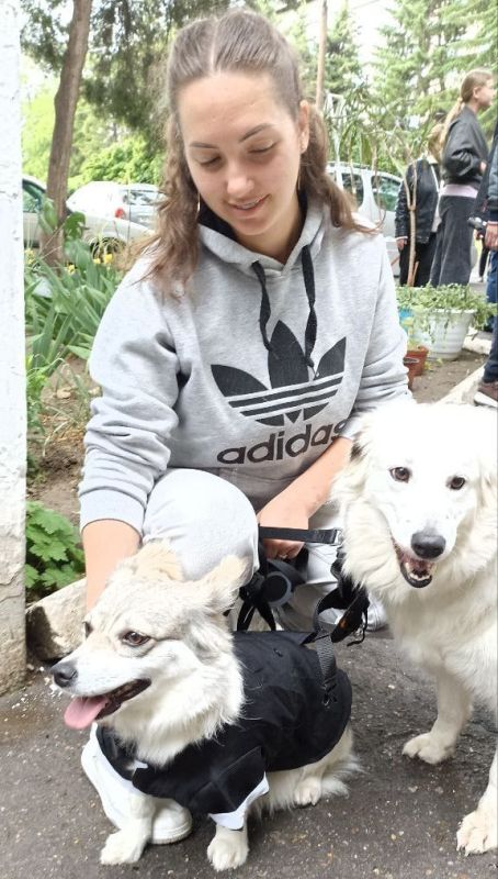 �������� �������� �� �������-��������������� ���������� ���������������� ��������������� ��������� ���������� ���� ������������