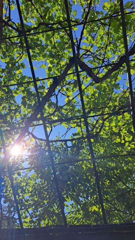 ������� ������ � ����������� ����