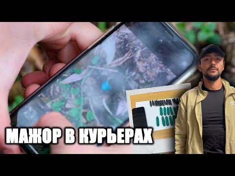 ������������������ �� ������ ��������� �����������