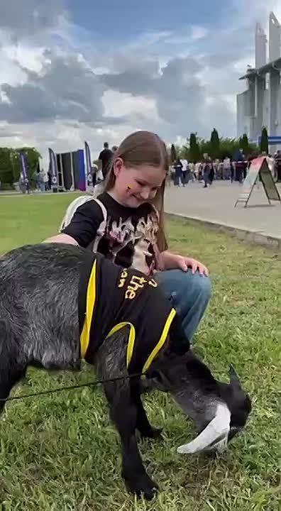 ���� ��������������� � �������� �������