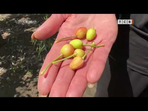 �� ����� ��������� ������ �������, � �� ������ ������, ����� � ���� ���� ����� �� ������