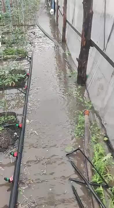 ����� ��� ��������� ��������� �����?