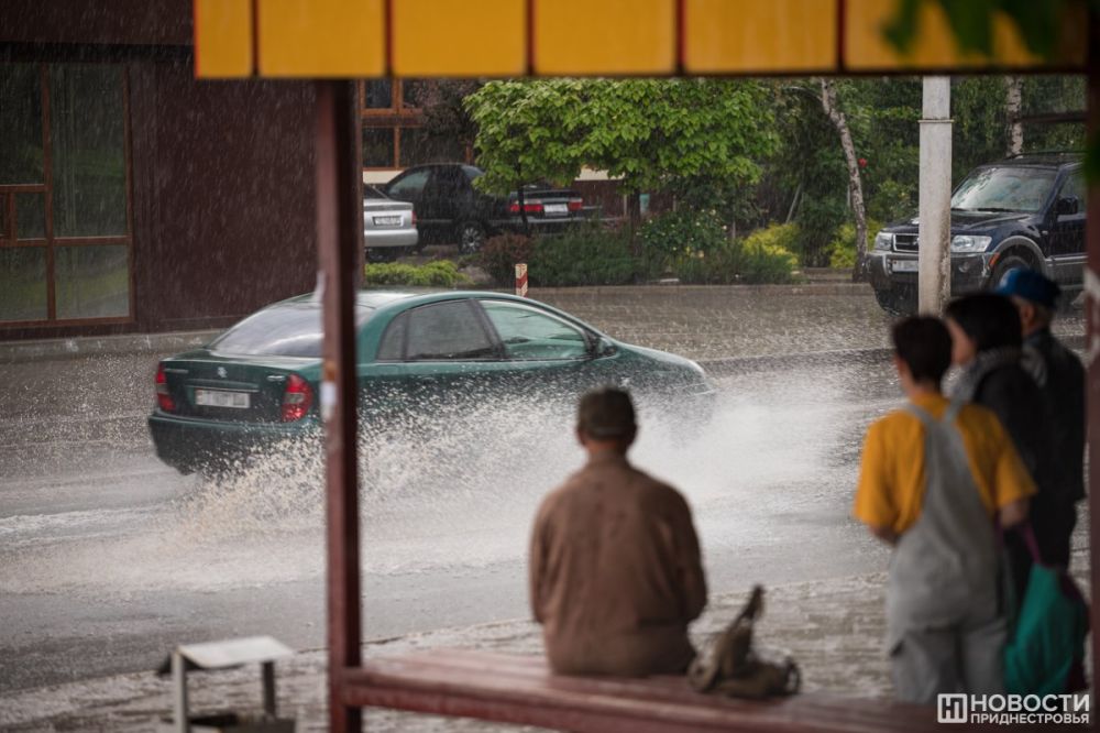 ��������� �� ��������������: �� ������ �������� ��� �� ���������� � ������� �����