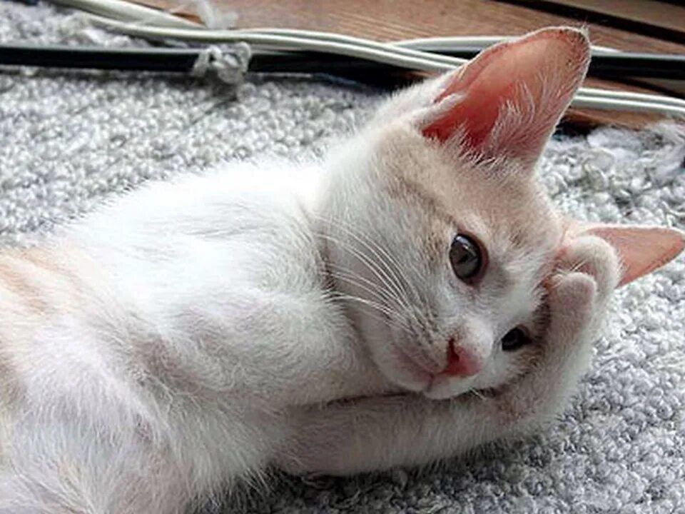 � ����� ����� ������� ��������� ���� � ����������� �� ����� ������