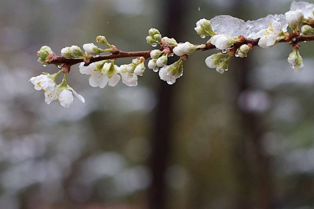 ��������� ������ ������� �� ��������� �����