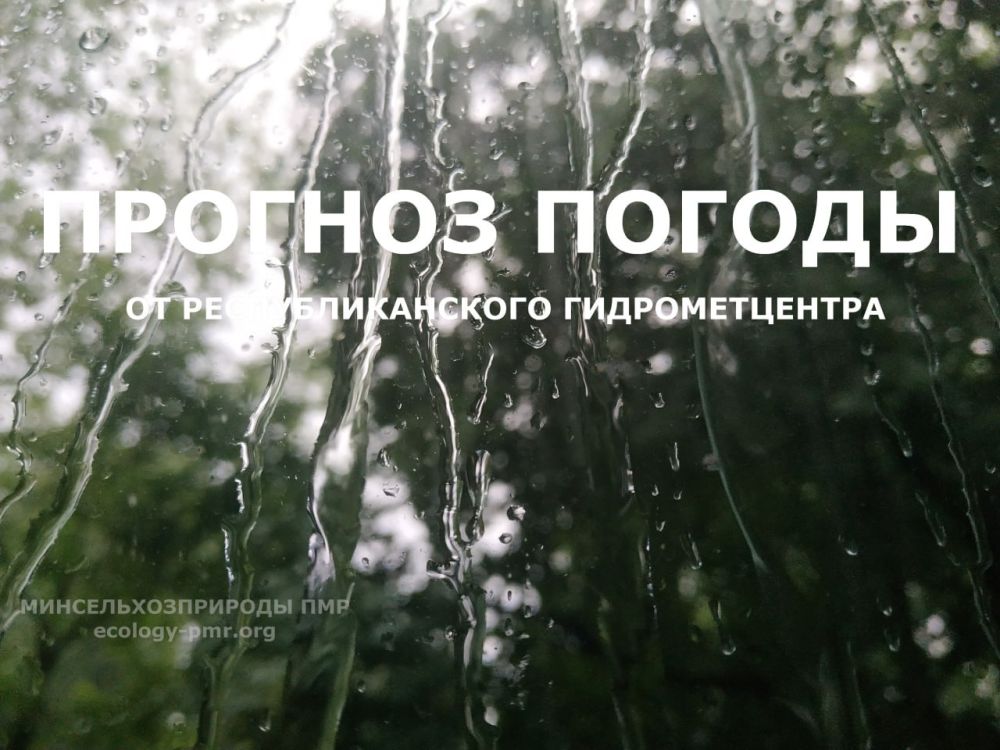 ������� ����!. ������� ������ �� �������, 26 ���