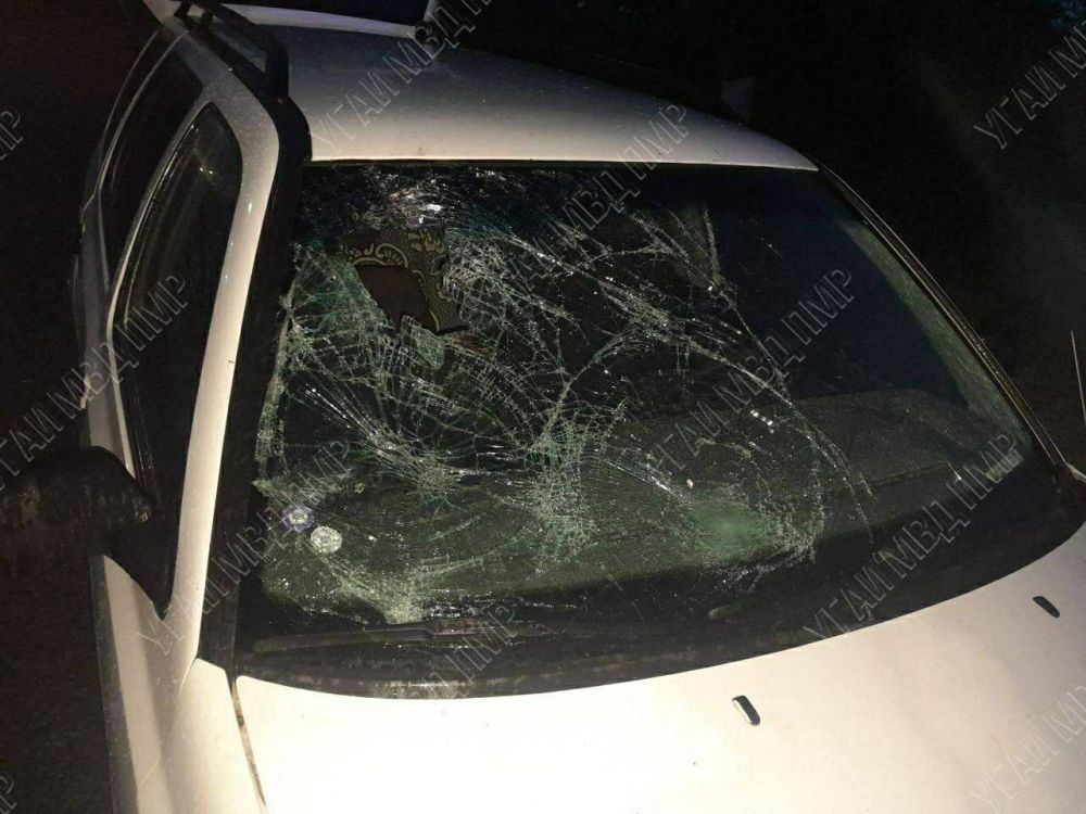 � ���� ����� ����� ��������