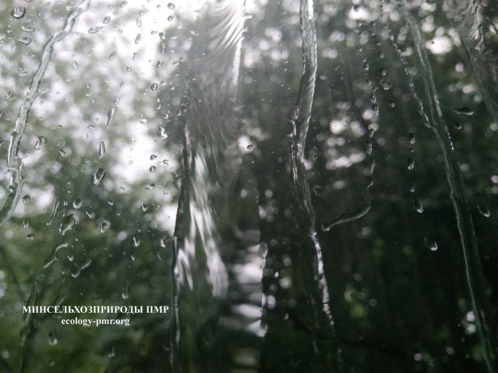 ��������������� ������� �� 26 ��� 2025�