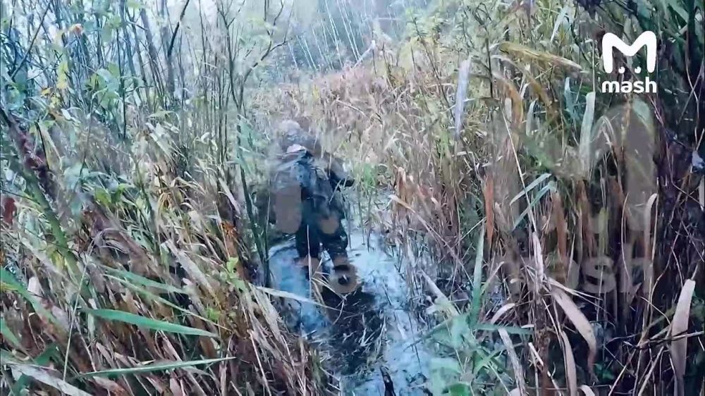 ������� ��� ���������� ����� �� ���������� �� � ������������ �������