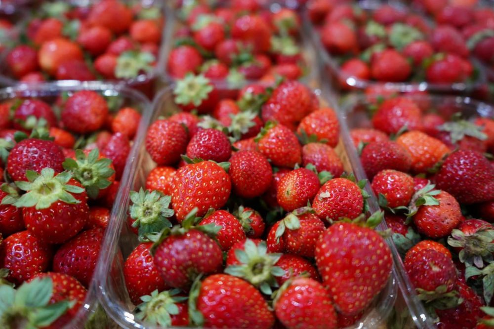 ���������� ����� ����, �� ��������� ��� ��������� �������� � ������ �������