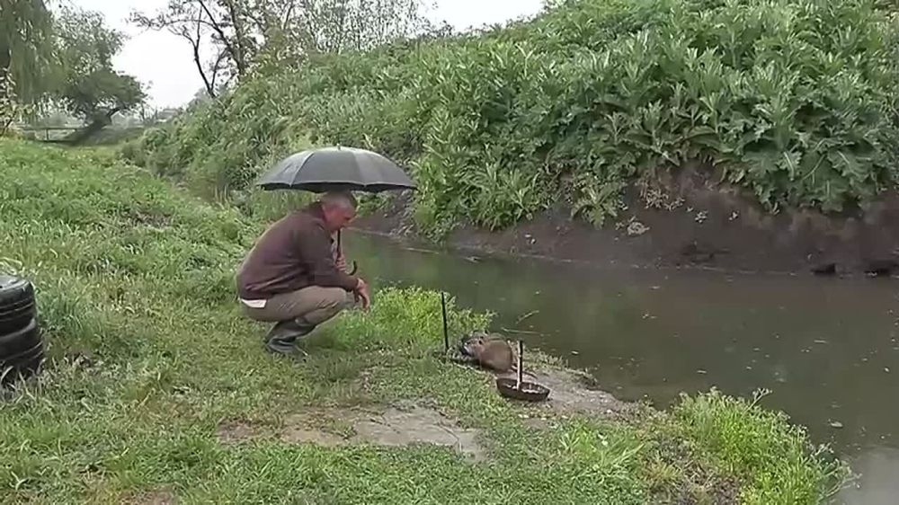 � ��������� ���� ����������� ������� 3 ������