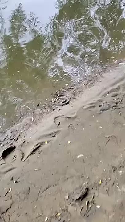 �� ������ ����� �� ������� �� ����� ������� �� ������ �����