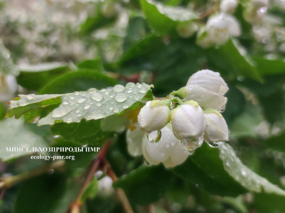 ������� ����!. ������� ������ �� �������, 27 ���