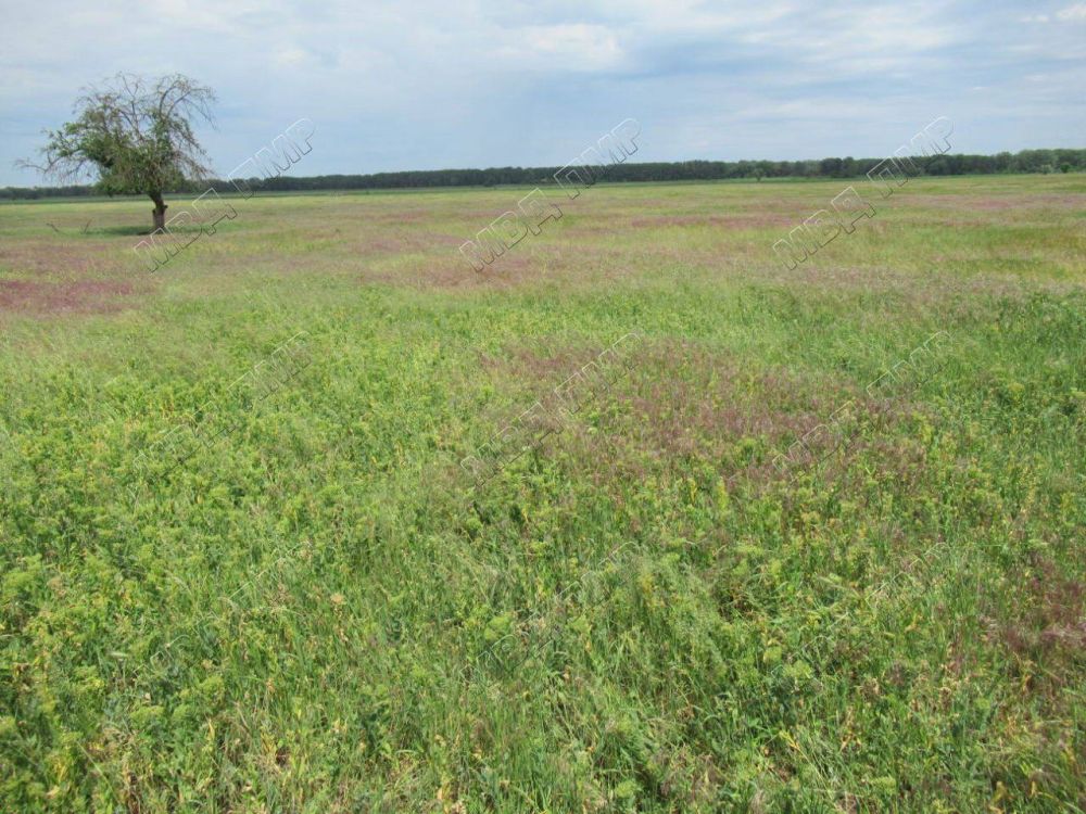 ������� �������. ������� 23 ��� � �������� ����� ��������� ������� �������� 38-������ ��������������