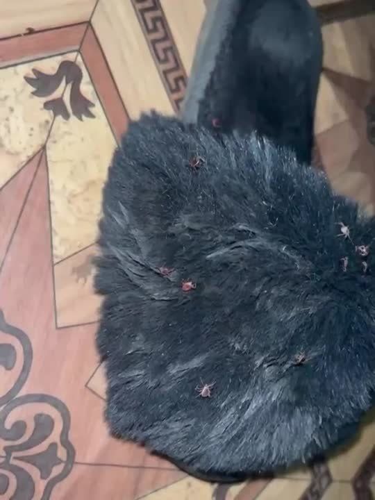 ������� �������� � �������� ������ �� �����