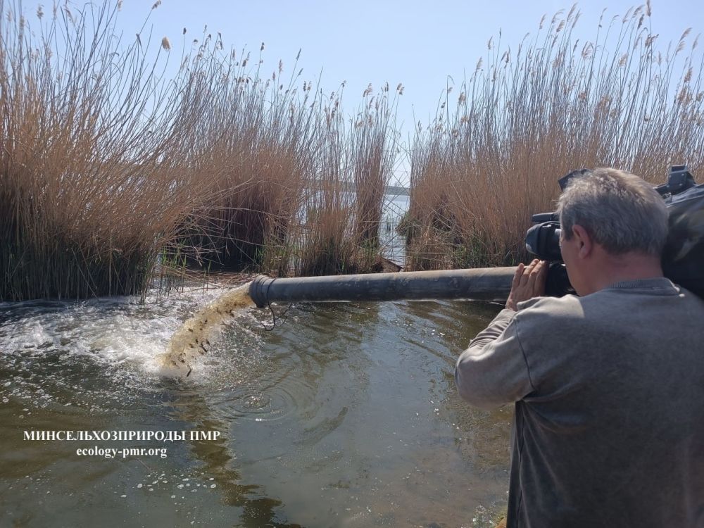 ����������� ��� � ������, �������, ����� ������ � ������������� � �������� ���������� �� ����� � ������