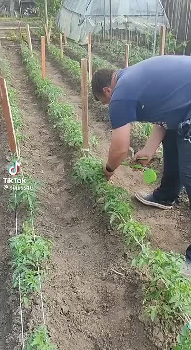 ��� ����������� ��������. ����� ��������� ��� ������ ��������