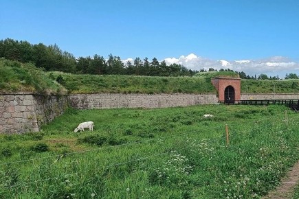        1 :