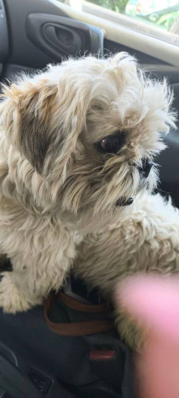 ������� ���� ������ ��-���