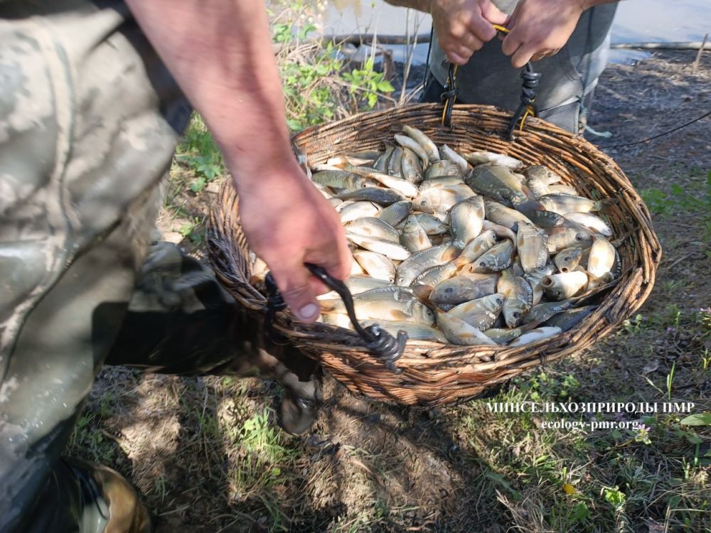 ����� ������������ ��� ����� ����� 17,2 ����� ��������� � ����������������� ������� ������������� � �������� ������ �� �������� ���