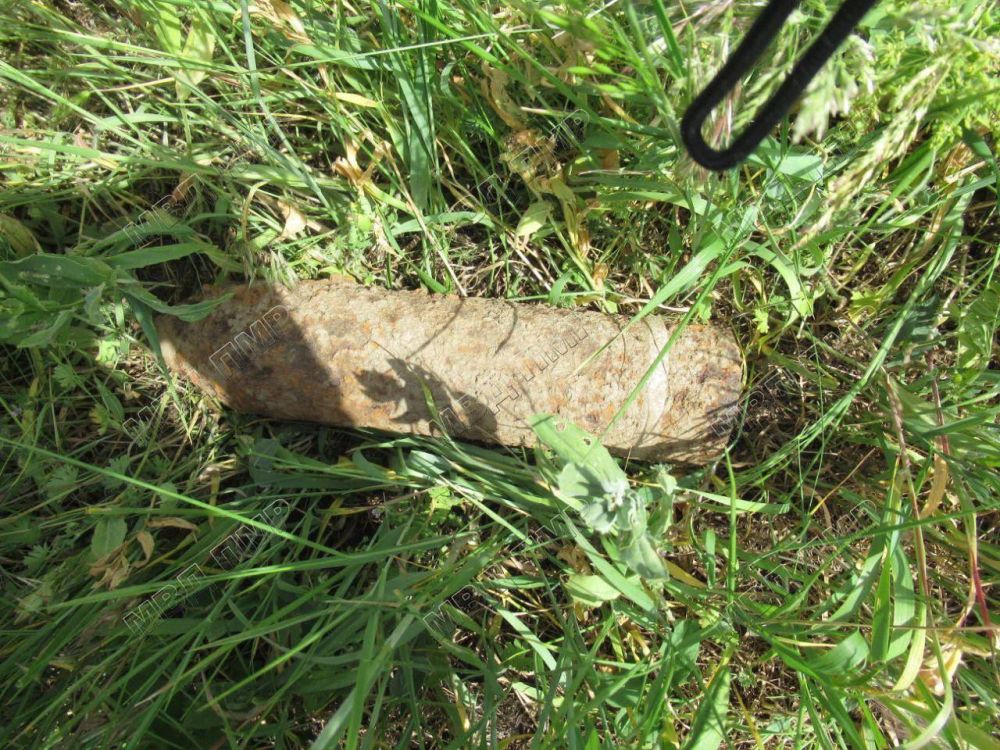 � �������� ��������� �������� ������ ����� ������� �������������