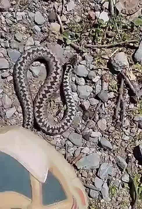 ������ ������� ������ � ����������, ����� �� �� ������