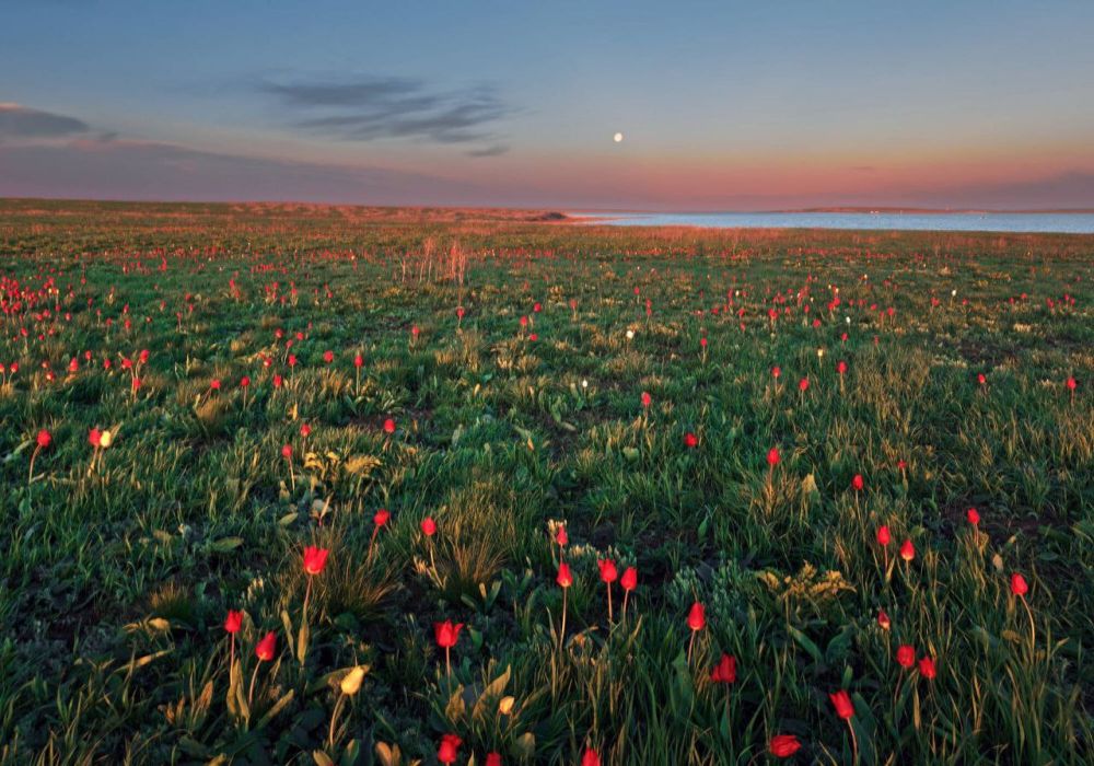 ���� ����� ��������� � ��������