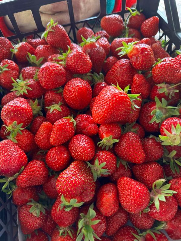 �� ��������� � ��������� ����� ������� �������� ������� �� 45 ������, ��� �������� �� ������