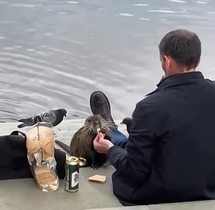 ����� �� ����� ����� �������� ��� ���