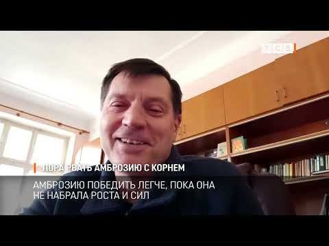 �������� ����� � ������ ���� ����� ������