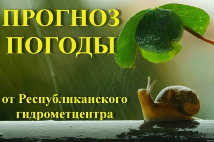  !.    , 29 