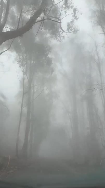 ������ �� �������