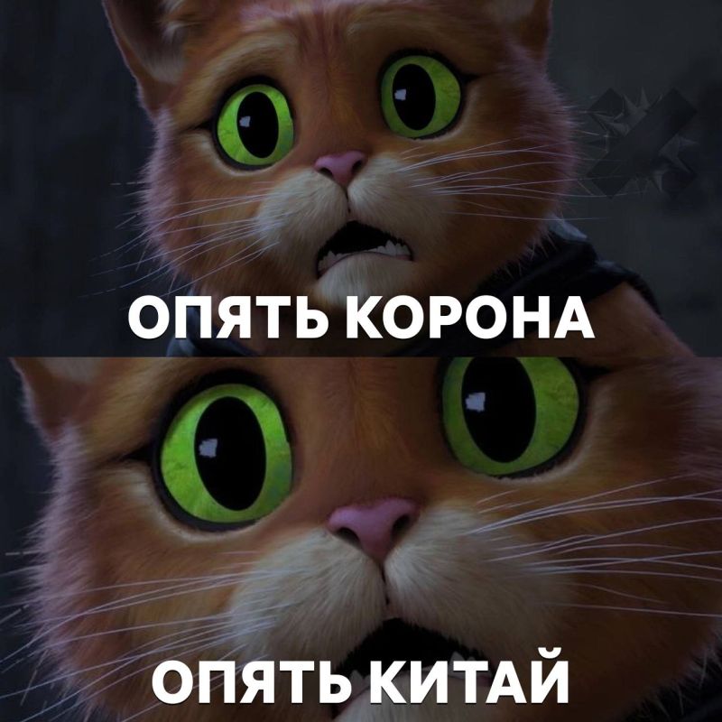 Новая волна COVID-19 захватывает мир — NYP