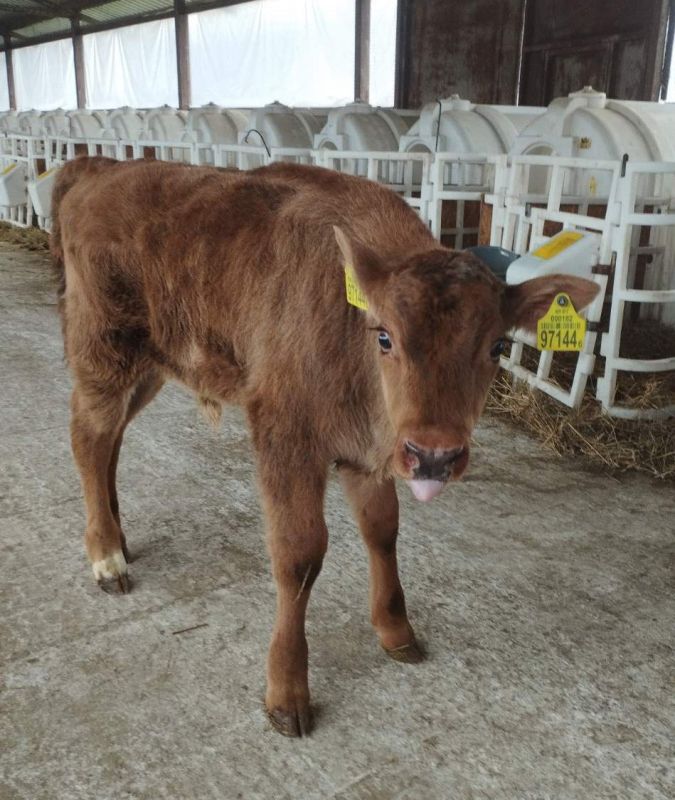 �������� ���� �� ������� - � �������� ������ ������ �������