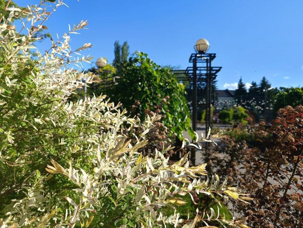 ��� �������� ��������� ����� �� ����� �� � ��, 31 ��� ��������� ���������� ����������, ��� �������