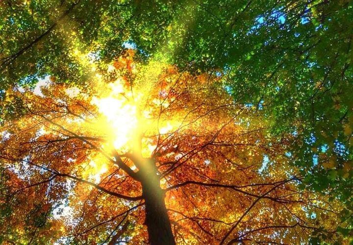 ����� �������. �� ��������� ������ ��������� �� +30�C