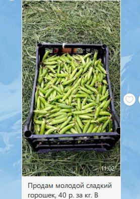 ����� ������� �� 40 �� ��, � ��� ������ ����� ��� ������ ���������� ��������