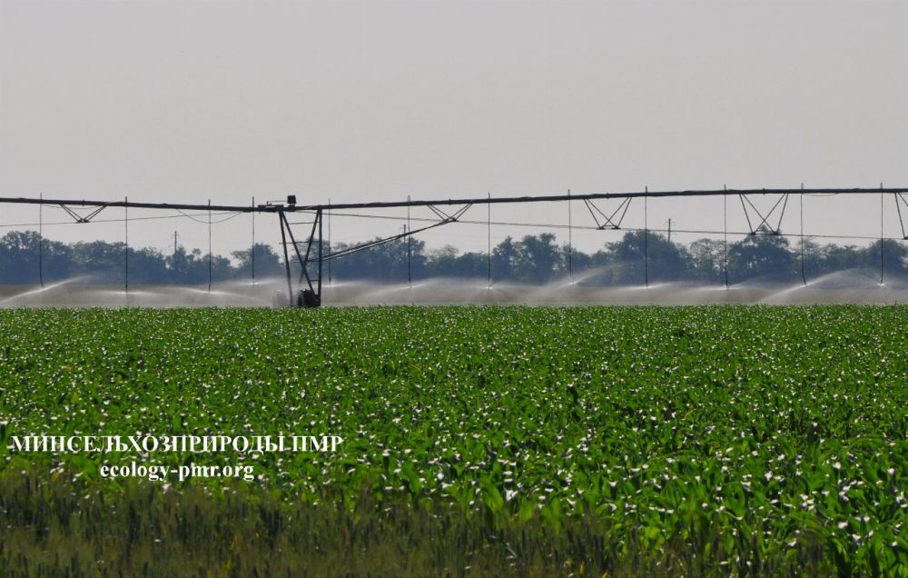 � ���� �����������!. ��������� ��������� � �������� ������������� �������! ������� ��������� ������������ � ���������������� ���������� � ���� ����������� ��������������� ���������� ����������!