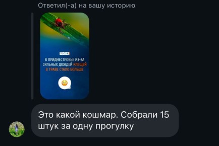    ( ) ,        15 