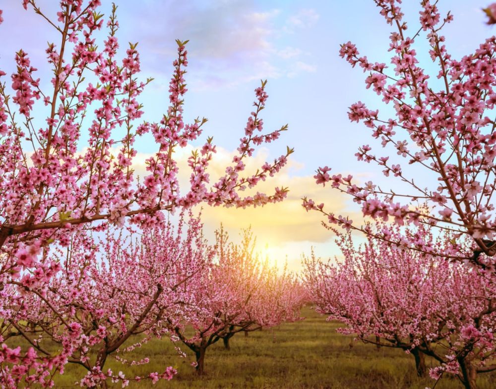 � ������������� �� ��������� 6 ��� �� 10% ������ ����� ������� ������������ �����, ����� �����-������ �������������